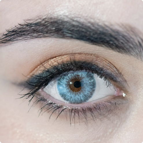 PE_WHITE_01.png Bianco - 